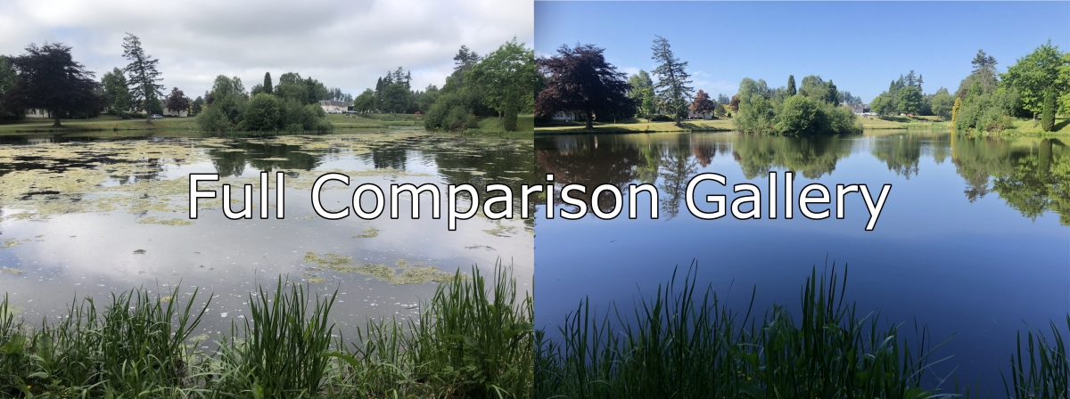 Before and After Gallery