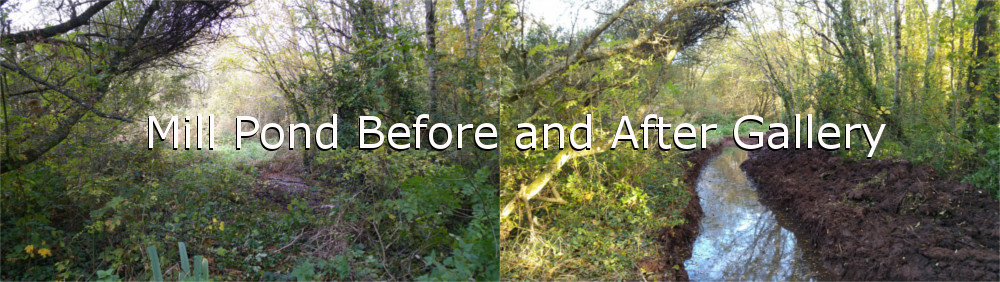 Before and After Gallery