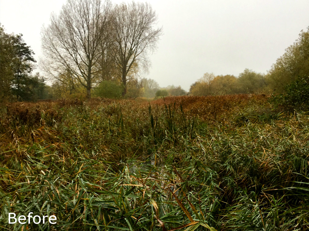 Existing Ditches Before