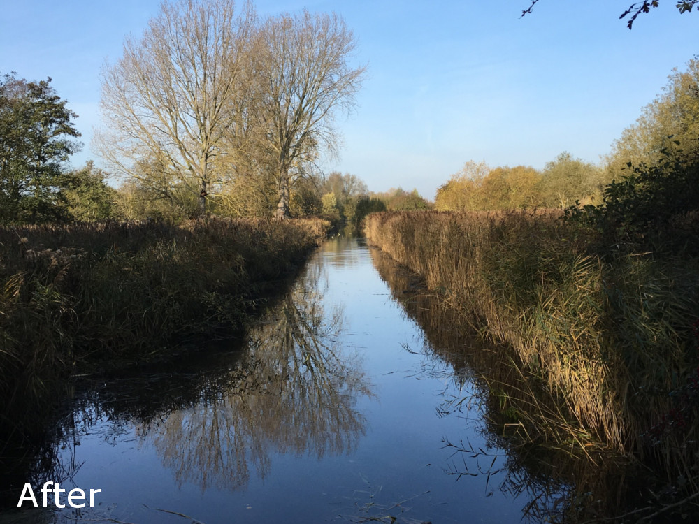 Existing Ditches After